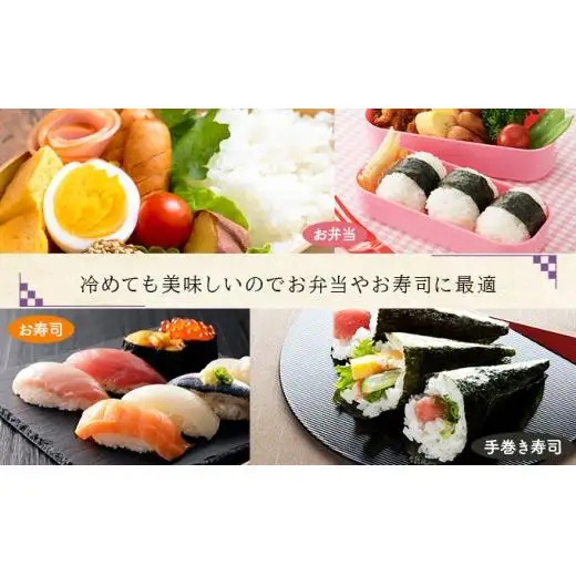《令和 7 年産》お米 ななつぼし精米 5kg｜米 精米 北海道 岩 見沢市 ファーム坂口の特別栽培米