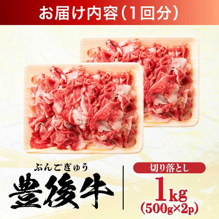 【全12回定期便】【 小分けで便利！】おおいた豊後牛 牛肉 切り落とし 1kg (500g×2) 牛肉切り落とし 豊後牛[AREI046]