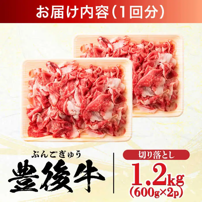 【全6回定期便】【大容量パック！】 おおいた豊後牛 牛肉 切り落とし 1.2kg (600g×2) 牛肉切り落とし 豊後牛[AREI048]