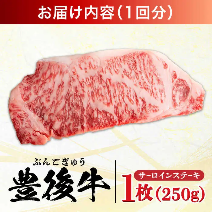 【全3回定期便】おおいた豊後牛 サーロインステーキ 250g (250g×1枚) サーロインステーキ [AREI053]