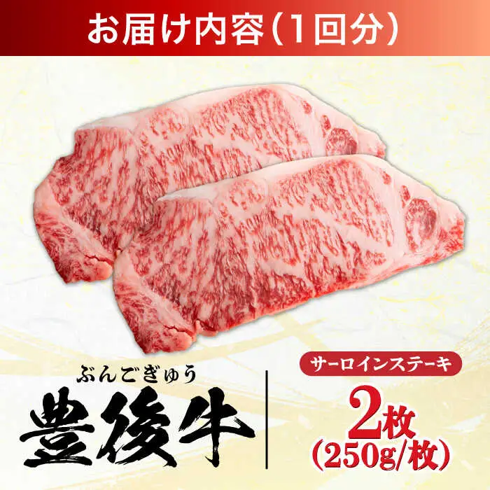 【全3回定期便】おおいた豊後牛 サーロインステーキ 500g (250g×2枚)  サーロインステーキ[AREI056]