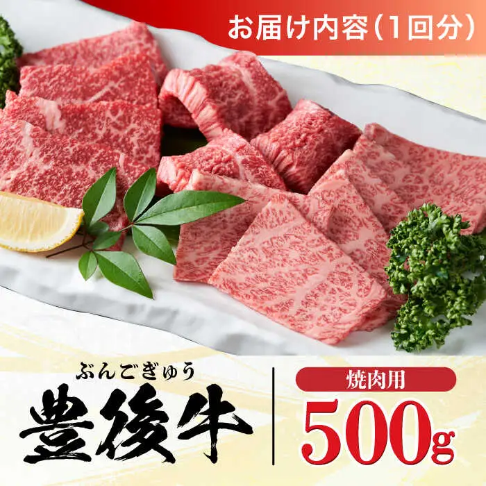 【全6回定期便】おおいた豊後牛 焼肉用 500g 赤身 モモ 焼肉  冷凍 豊後牛 BBQ[AREI099]