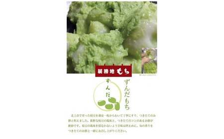 展勝地 もち 北上名物 冷凍 たれ餅 特選4種【杵つき】（ あずき ・ くるみ ・ よもぎ ・ずんだ ）セット 餅 セット 詰め合わせ 岩手県 北上市 C0558R0806 展勝地レストハウス