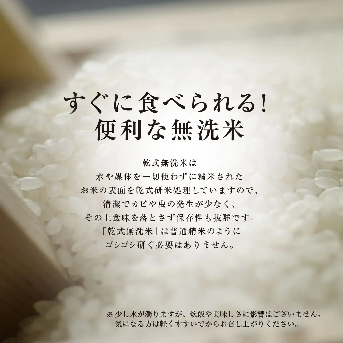【先行予約 9月上旬から発送】＜令和8年産＞≪12ヶ月定期便≫房の黄金米「コシヒカリ」10kg × 12回 計120kg   SMBR046-n 千葉県 山武市  米 お米 白米 無洗米