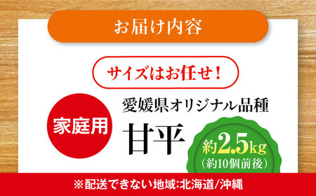 甘平【ご家庭用】甘平  約2.5kg 10個前後 [AGDC004]