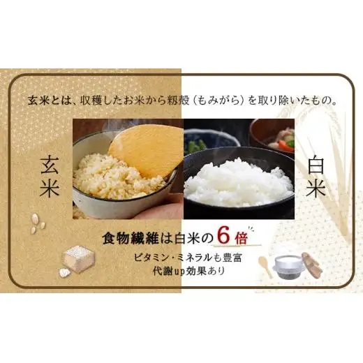 令和7年産！ファーム坂口の特別栽培米 ななつぼし玄米 5kg