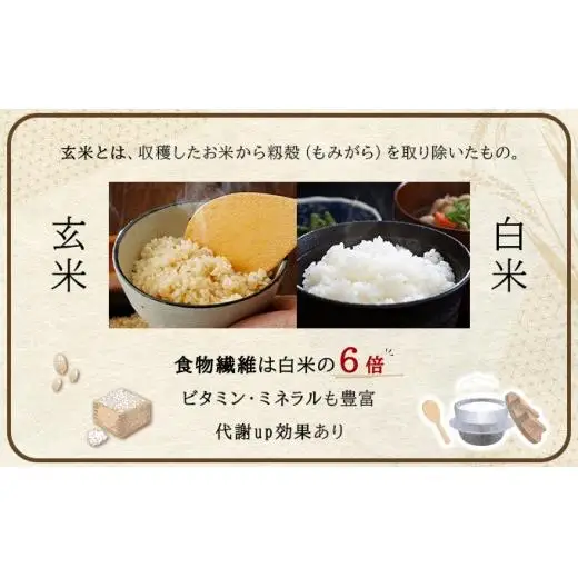 【玄米】《令和 7 年産》お米 ゆめぴりか玄米 10kg(5kg×2袋)｜米 北 海道 岩見沢市 ファーム坂口の特別栽培米