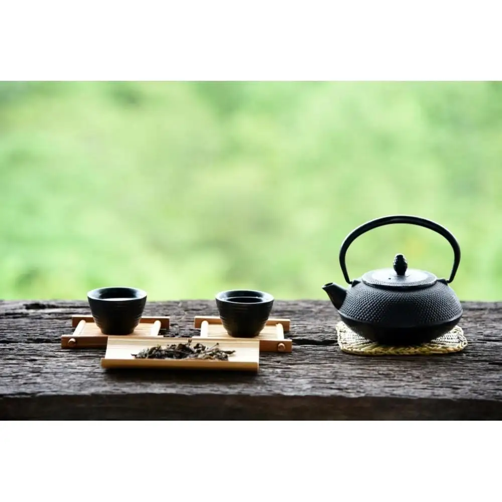 八女茶　【特上】煎茶セット　100g×2袋