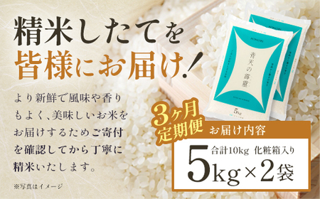 【3ヶ月定期便】青天の霹靂　精米10kg（5kg×2袋）　【02408-0122】