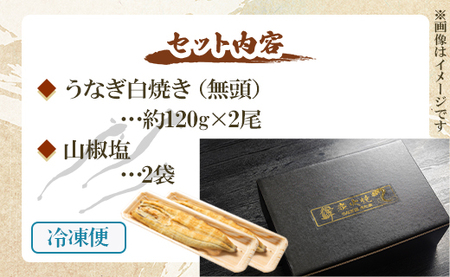 12回 定期便 うなぎ 白焼き 国産 120g 2尾 (無頭) 魚介 国産 海鮮 魚 かばやき 鰻 ウナギ 惣菜 おかず お手軽 加工品 加工食品 冷凍 Wun-0087