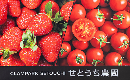 無添加 無塩 トマト ジュース 「 星のトマトミックス 」 180ml 12本  ジュース