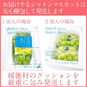 2026年 先行予約シャインマスカット 晴王 2房約1.15kg 9月～10月出荷/ 岡山県産 種無し 皮ごと食べる みずみずしい フレッシュ 晴れの国 おかやま 果物大国 彩美菜果