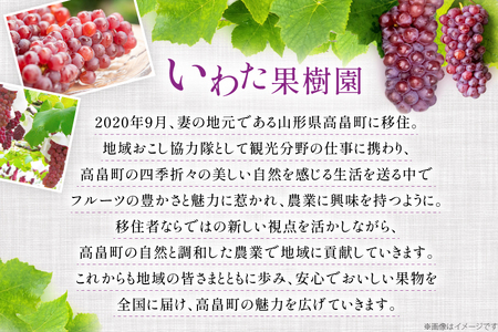 【期間限定発送】 ぶどう デラウェア 5～8房 約 1kg