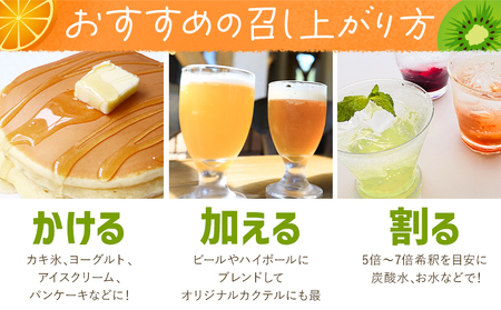 フルーツシロップ 天草オレンジ・キウイ セット 270ml×2本
