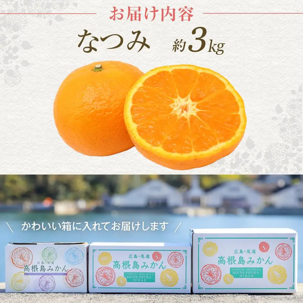 【先行予約】厚すぎるほど濃いみかん なつみ 3kg＜2027年4月上旬より発送開始＞