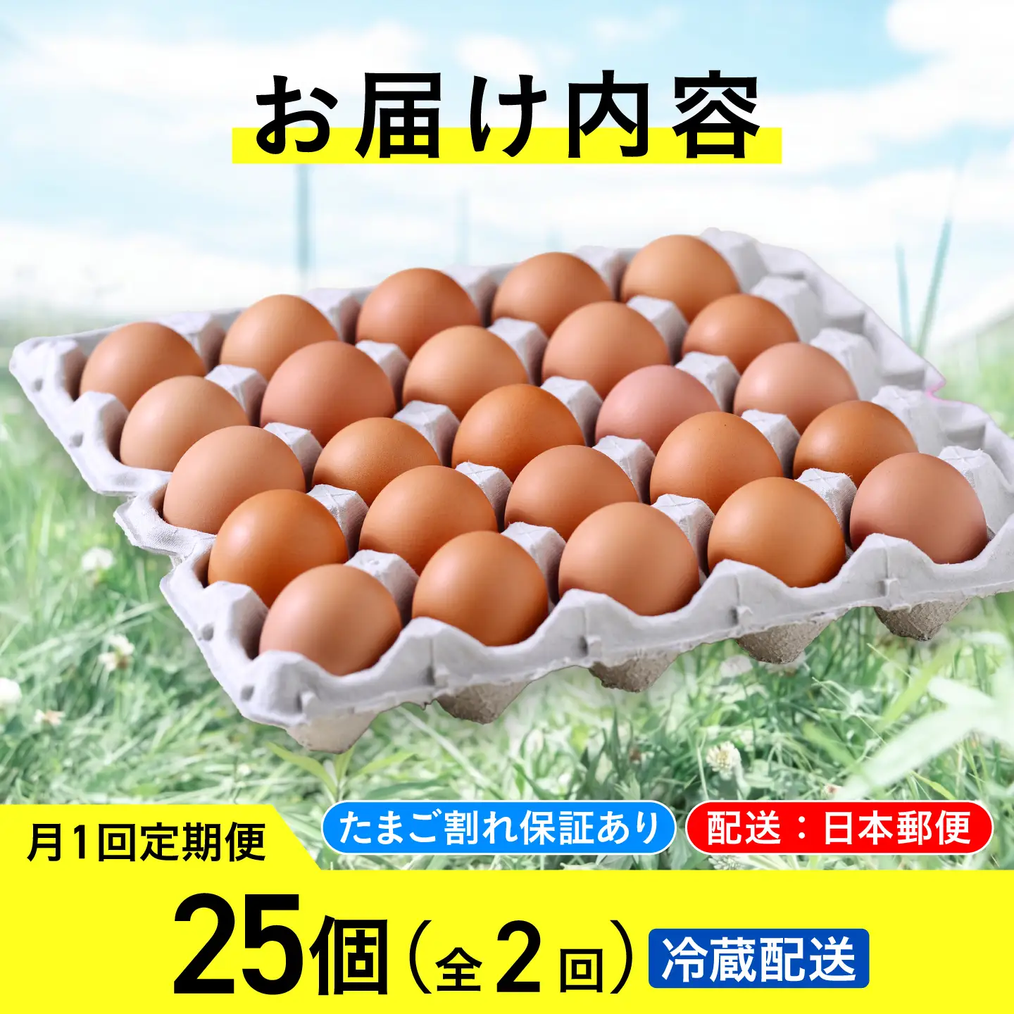【2ヵ月定期便】小林農園の平飼い有精卵 25個 計50個 冷蔵便 [AXAN090]