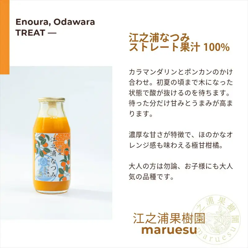 小田原産江之浦みかんジュース５種のみくらべ１０本セット うんしゅう・しらぬい・ゴールデン・なつみ・バレンシアオレンジ１００％ストレートジュース１８０ml各２本合計１０本【みかんジュース みかんジュース 神奈川県 小田原市 】