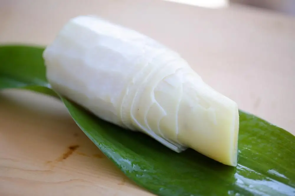 予約受付【筍農家】京都産  朝堀り たけのこ 優秀品 3KG(3-5本) [ 京都 筍専門店 たけのこ 朝掘り直送 新鮮 人気 おすすめ おいしい タケノコ 季節限定 お取り寄せ 通販 送料無料 ふるさと納税 ]
