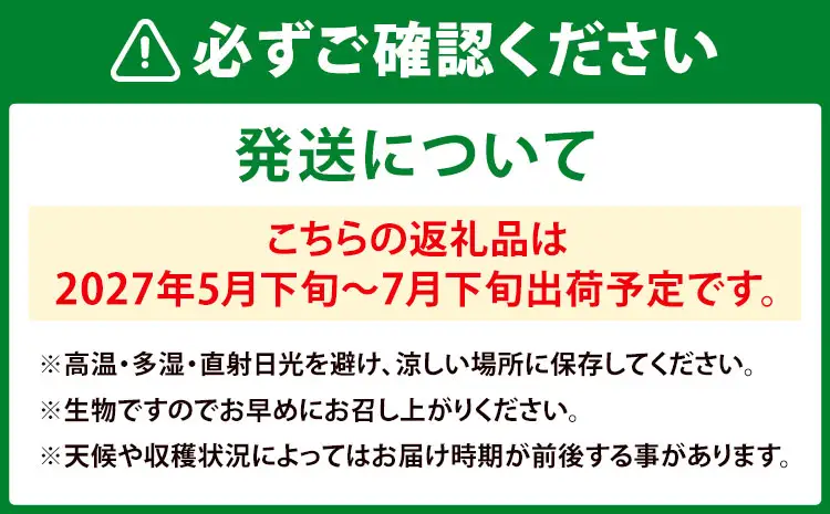 【先行予約】 メロン 肥後グリーンメロン 2玉 約 3kg ～ 4kg 株式会社Foody’s 食彩たかみ 《2027年5月下旬-7月下旬頃出荷》 熊本県 菊池市 フルーツ 果物 メロン 九州産 冷蔵 送料無料