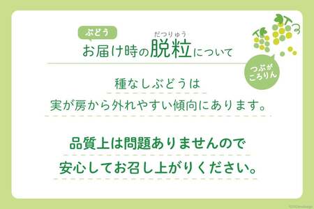 【ふるなびWEEK対象】 【2026年発送】先行受付 シャインマスカット 山梨 予約 約 2kg 3～ 4房