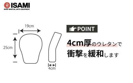 IBX-10 パンチングミットフィット | ボクシング 格闘技用品