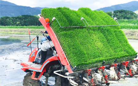 【栽培期間中農薬不使用！】糸島産ヒノヒカリ 5kg（※限定20袋） 糸島市 / みのりのりん [ABD008]