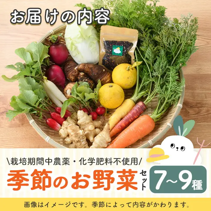 季節のお野菜 セット(7～9種) 野菜 やさい 詰合せ 詰め合わせ 季節 おまかせ お楽しみ【117000100】【しん屋】