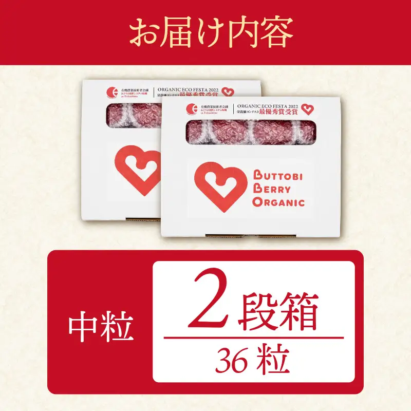 オーガニック いちご 中粒 約36粒 《1月末から5月発送》 有機JAS認証 ORGANIC 甘い 苺 果物 フルーツ 産地直送 新鮮 ストロベリー ジャム スムージー 期間限定 徳島