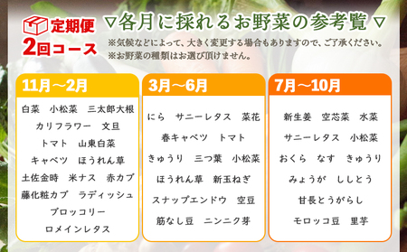 定期便2回コース 高知県香南市産 旬のお野菜詰合せ(10～13品目)【野菜 野菜詰め合わせ 野菜セット 野菜定期便 土佐野菜 野菜】 Wpr-0018
