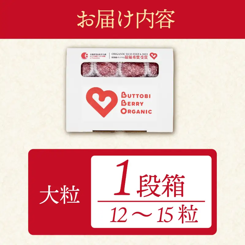 オーガニック いちご 大粒 約12～15粒 《1月末から5月発送》 有機JAS認証 ORGANIC 甘い 苺 果物 フルーツ 産地直送 新鮮 ストロベリー ジャム スムージー 期間限定 徳島