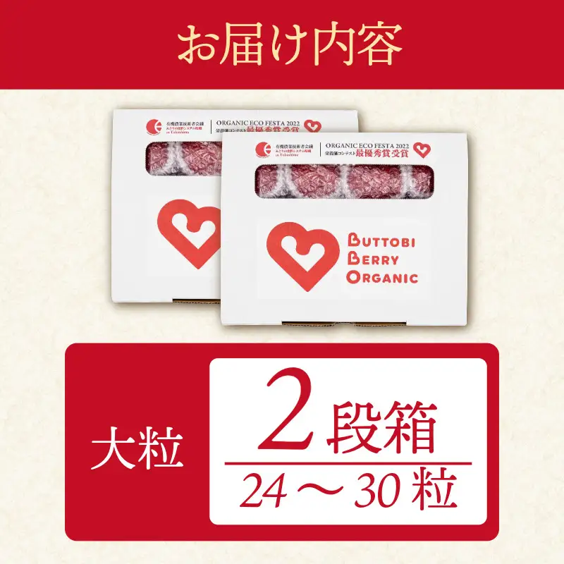 オーガニック いちご 大粒 約24～30粒 《1月末から5月発送》 有機JAS認証 ORGANIC 甘い 苺 果物 フルーツ 産地直送 新鮮 ストロベリー ジャム スムージー 期間限定 徳島