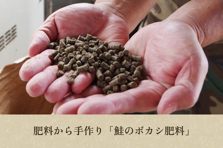 【令和7年産】【定期便5ヶ月毎月お届け】新潟産コシヒカリ「伝」真空パック 玄米10kg（5kg×2）《9月下旬～順次出荷》 かやもり農園