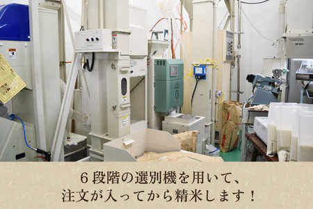 最短3日発送【令和6年産米】新潟産コシヒカリ「伝ゴールド」真空パック 玄米2kgかやもり農園