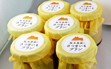 【 6ヶ月 定期便 】 濃厚 さつまいもプリン 6個入り 6個×6回 計36個 ／  スイーツ おやつ デザート 洋菓子 プリン さつまいも 冷凍