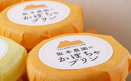 【 3ヶ月 定期便 】 濃厚 かぼちゃプリン 6個入り 6個×3回 計18個 ／ スイーツ おやつ デザート 洋菓子 カボチャ 南瓜 パンプキン 冷凍