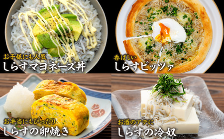 しらす 4kg ( 1kg × 4箱 ) 訳あり 冷凍 ちりめん しらす干し 減塩 釜揚げ ごはん 丼 パスタ チャーハン サラダ 魚 料理 山庄 愛知県 南知多町 師崎