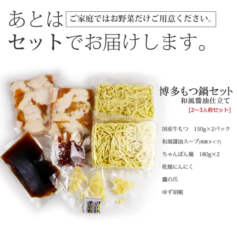 博多もつ鍋セット(九州醤油仕立て) 2～3人前 B088R