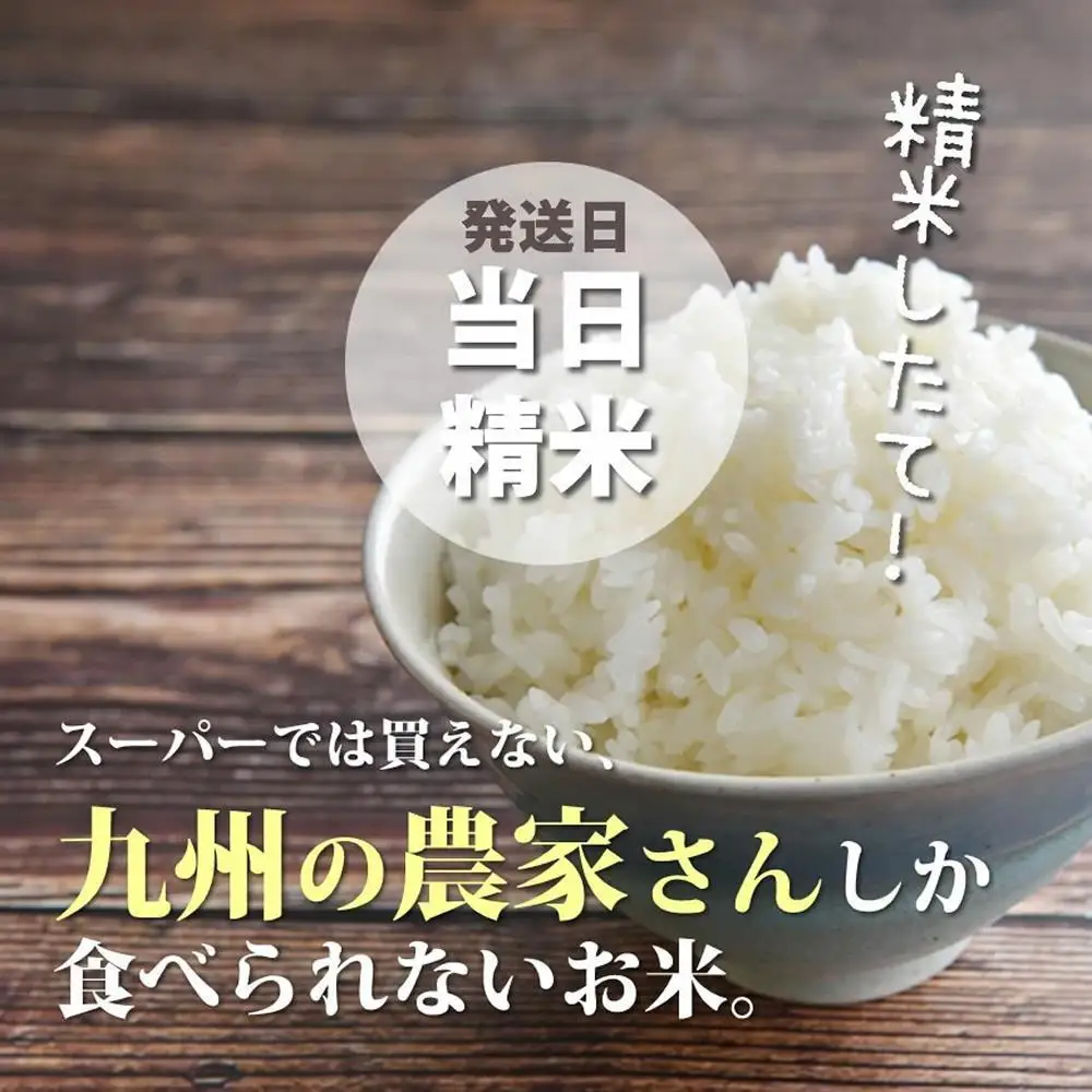 令和7年産 福岡県産【特A】評価のお米「元気つくし」5kg×1袋 5kg [白米]