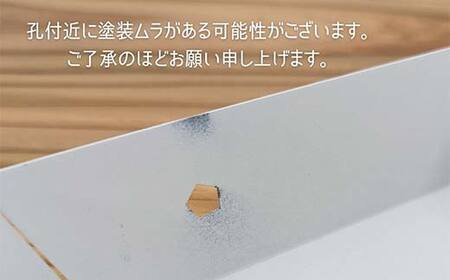 FKK19-21E_ アイアンアイテム 小物入れトレー モスブルー