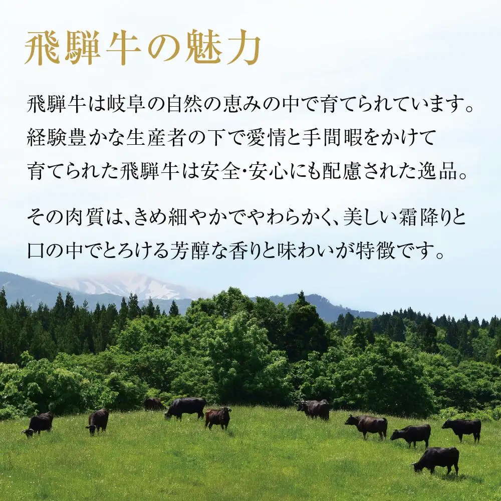 飛騨牛 結旨豚 焼肉 食べ比べ セット 計800g 焼肉 飛騨高山ミート [MS024]