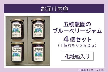 ブルーベリージャム 250g×4個【1186202】
