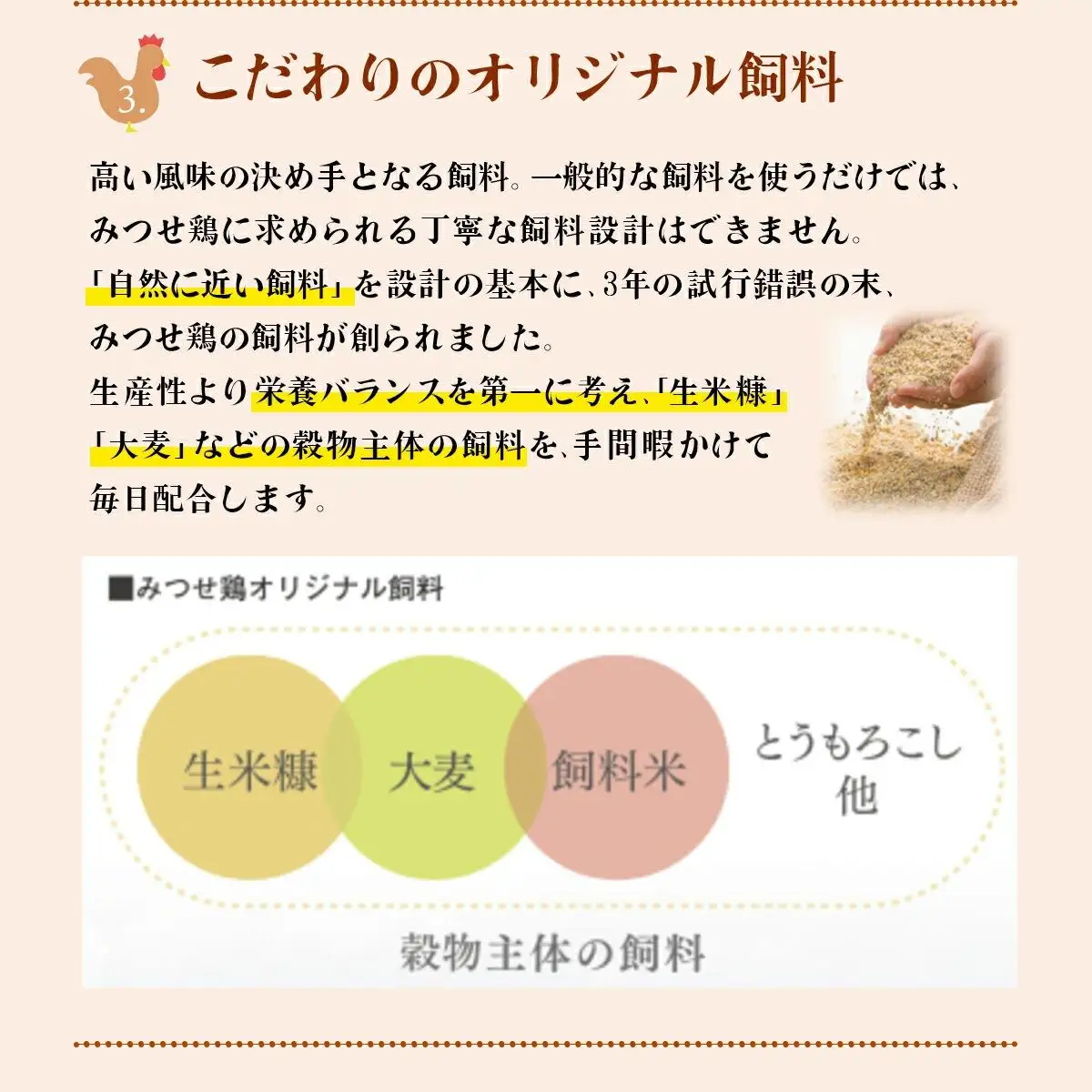 【定期便 年6回】みつせ鶏 バラエティ定期便