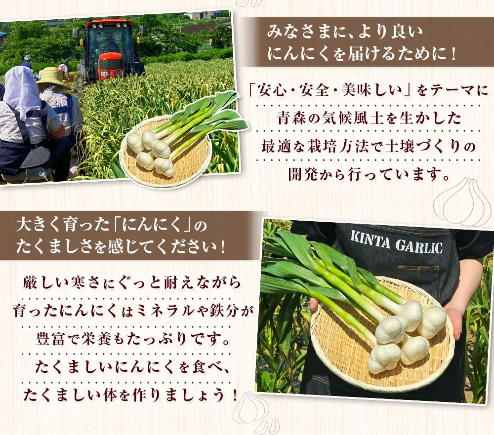 【青森県産】にんにく 上級品 1kg　