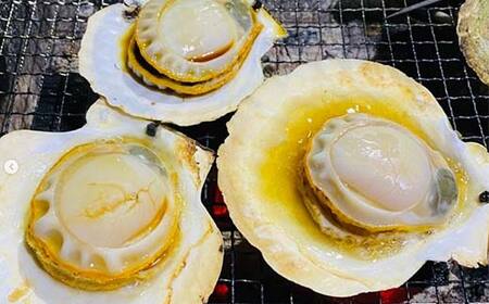 大福丸の殻付きホタテ10枚 【三陸山田産】【配送日指定不可】【沖縄・離島配送不可】 三陸山田 山田町 山田湾 海産品 帆立 二枚貝 YD-782