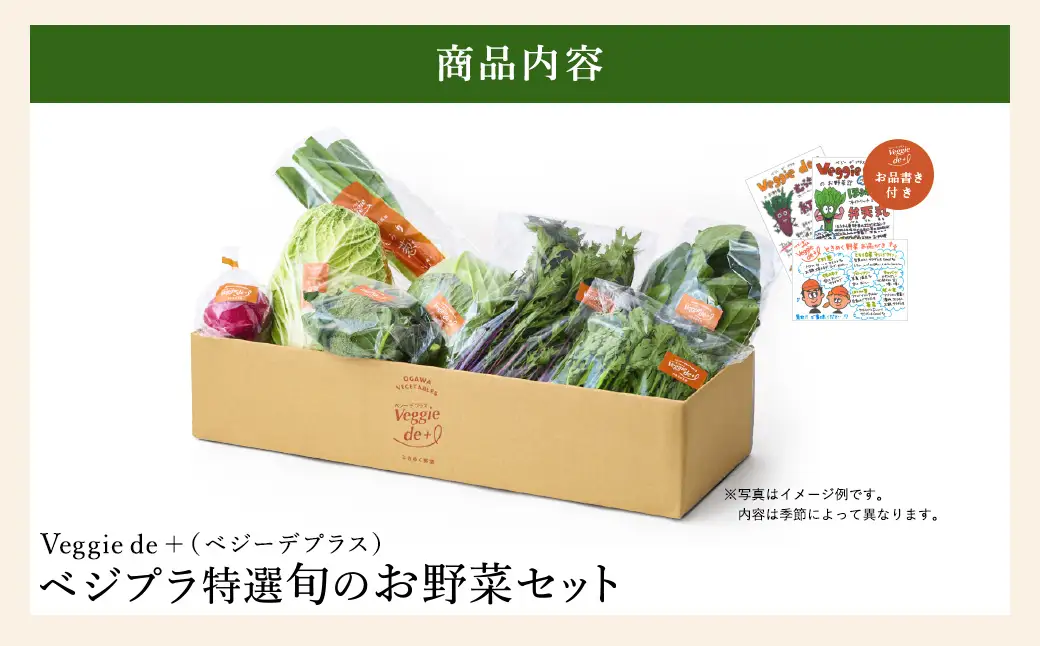 ベジプラ特選 旬の野菜セット Veggie de＋