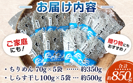 ＜ちりめん＆しらす干し 食べ比べセット＞ 西予市産 ちりめん しらす干し 食べ比べ 健康 カルシウム 詰め合わせ チリメン シラス 魚介 海産物 海鮮 家庭用 贈答用 小分け 国産 特産品 産地直送 濱田水産 愛媛県 西予市【冷凍】『最短10営業日以内に順次発送予定』AHS0003