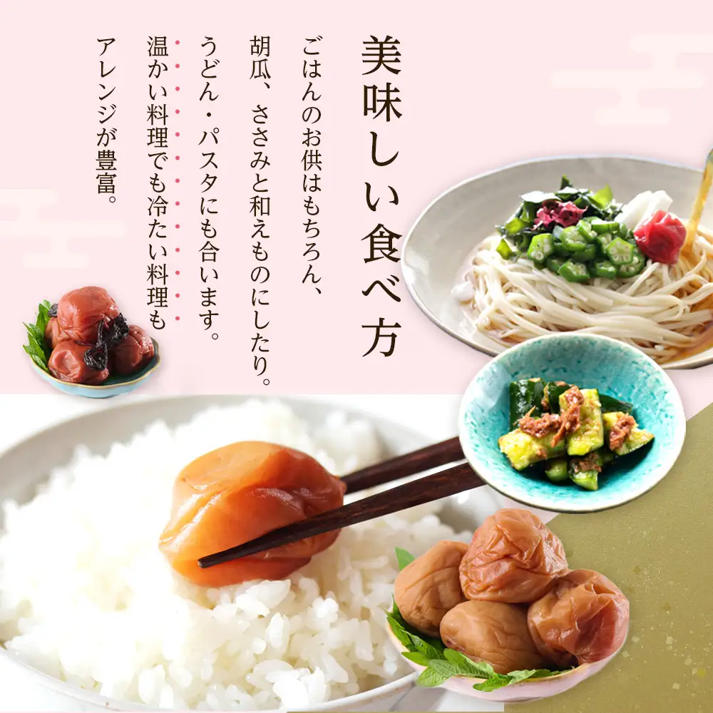 訳あり 梅干し 大粒 大玉 つぶれ梅 はちみつ梅 約500g × 3回 塩分8％ [ 定期便 2か月に１回発送・全3回 ]