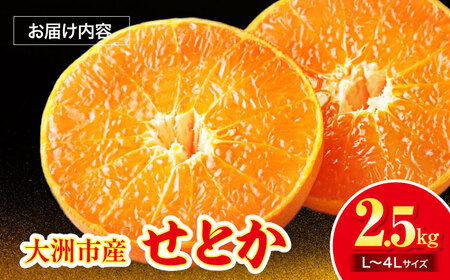 せとか 訳あり 2.5kg（Lから4Lサイズ混合）せとか[AGAR012]
