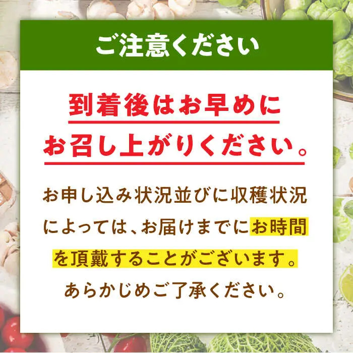 白菜 約10kg 白菜【11月中旬から順次発送】[AGBN049]