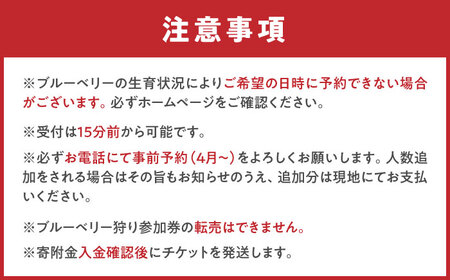 ブルーベリー狩り 80分食べ放題 大人1名様 ブルーベリー 体験チケット[AEBZ007]